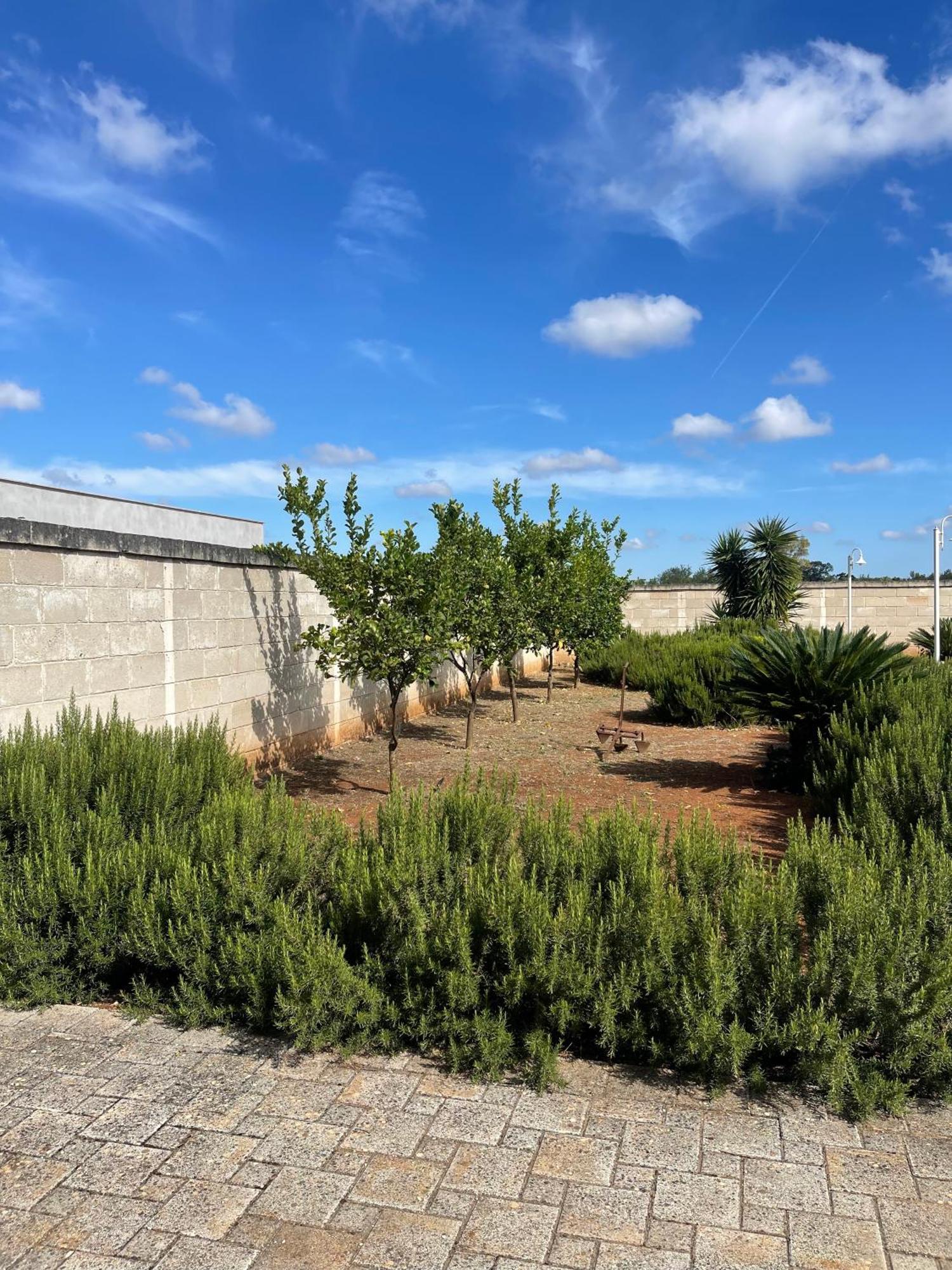 Masseria Don Bonifacio Castellana Grotte Bagian luar foto